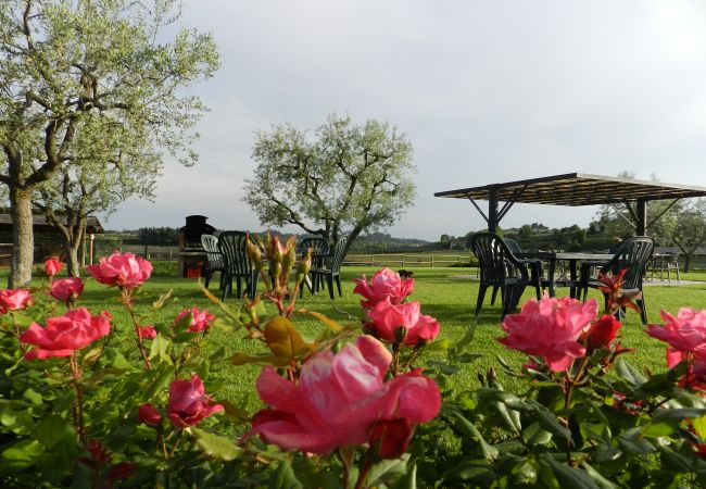 Studio a Lazise - AGRITURISMO Studio a Lazise - AGRITURISMO