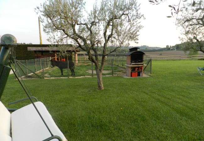 Studio a Lazise - AGRITURISMO Studio a Lazise - AGRITURISMO