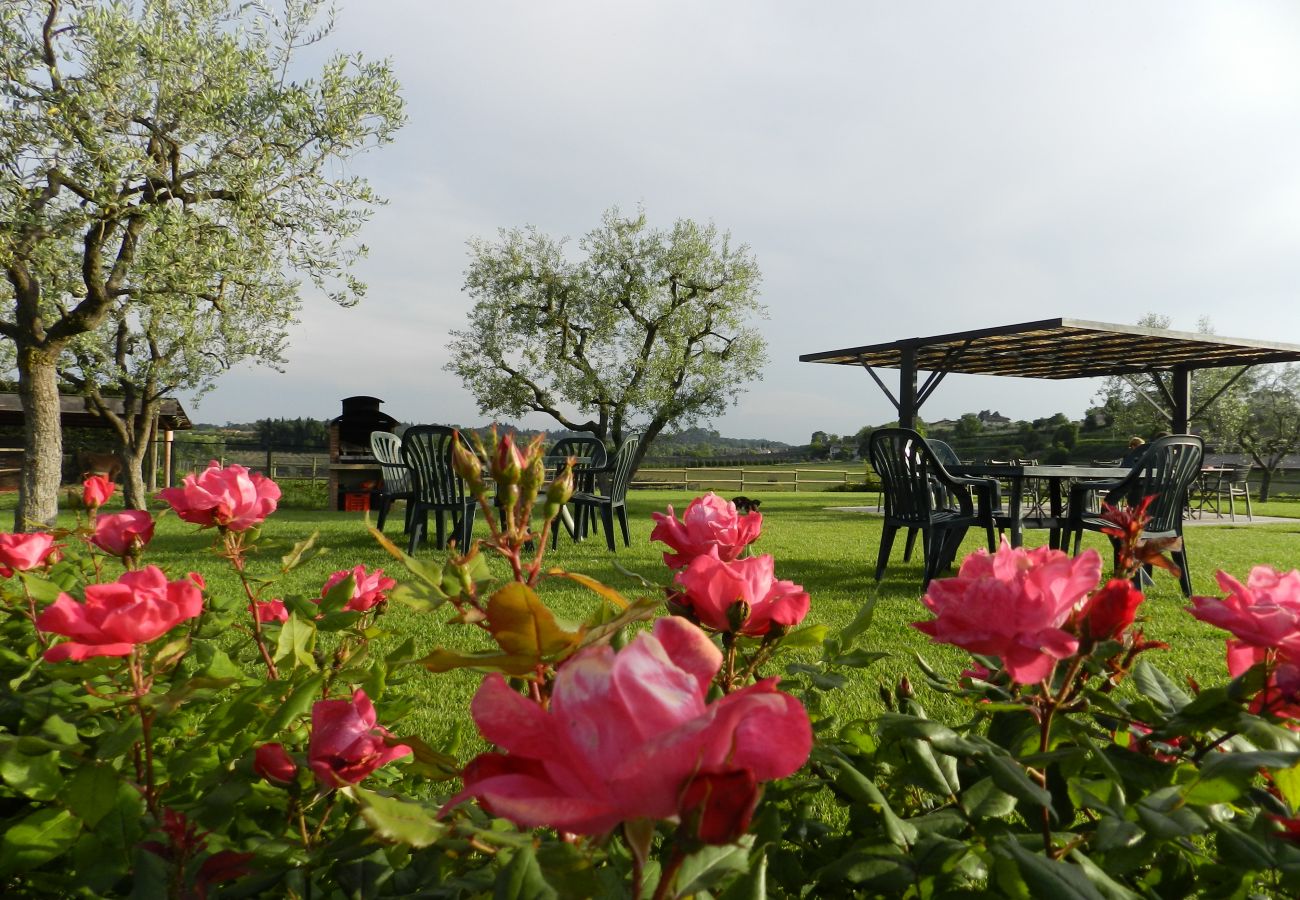 Studio a Lazise - AGRITURISMO Studio a Lazise - AGRITURISMO