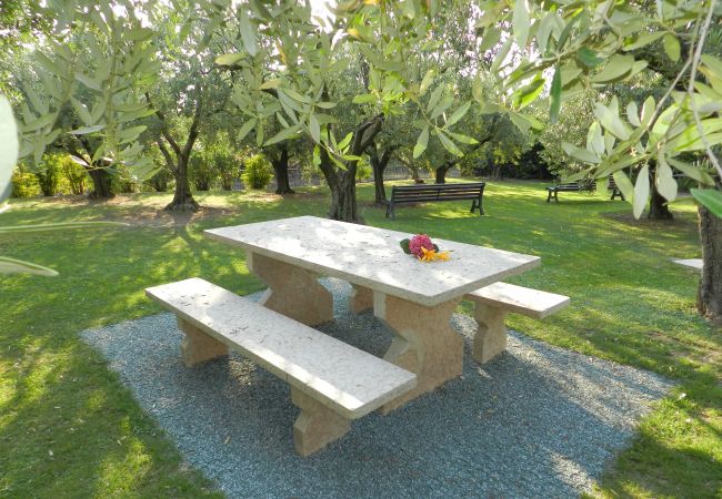 Studio a Lazise - MONOLOCALE Studio a Lazise - MONOLOCALE