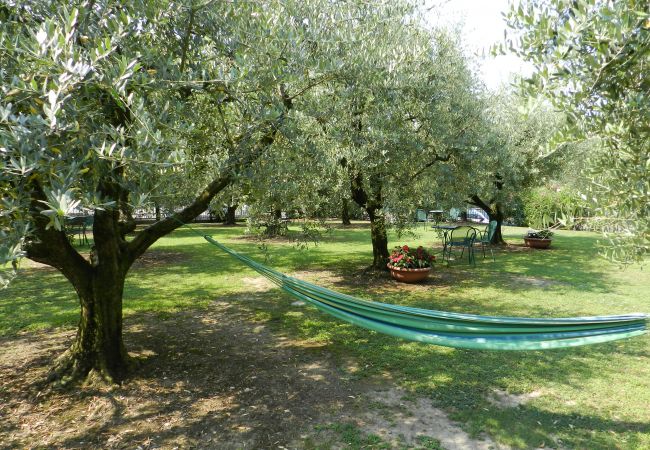 Studio a Lazise - MONOLOCALE Studio a Lazise - MONOLOCALE