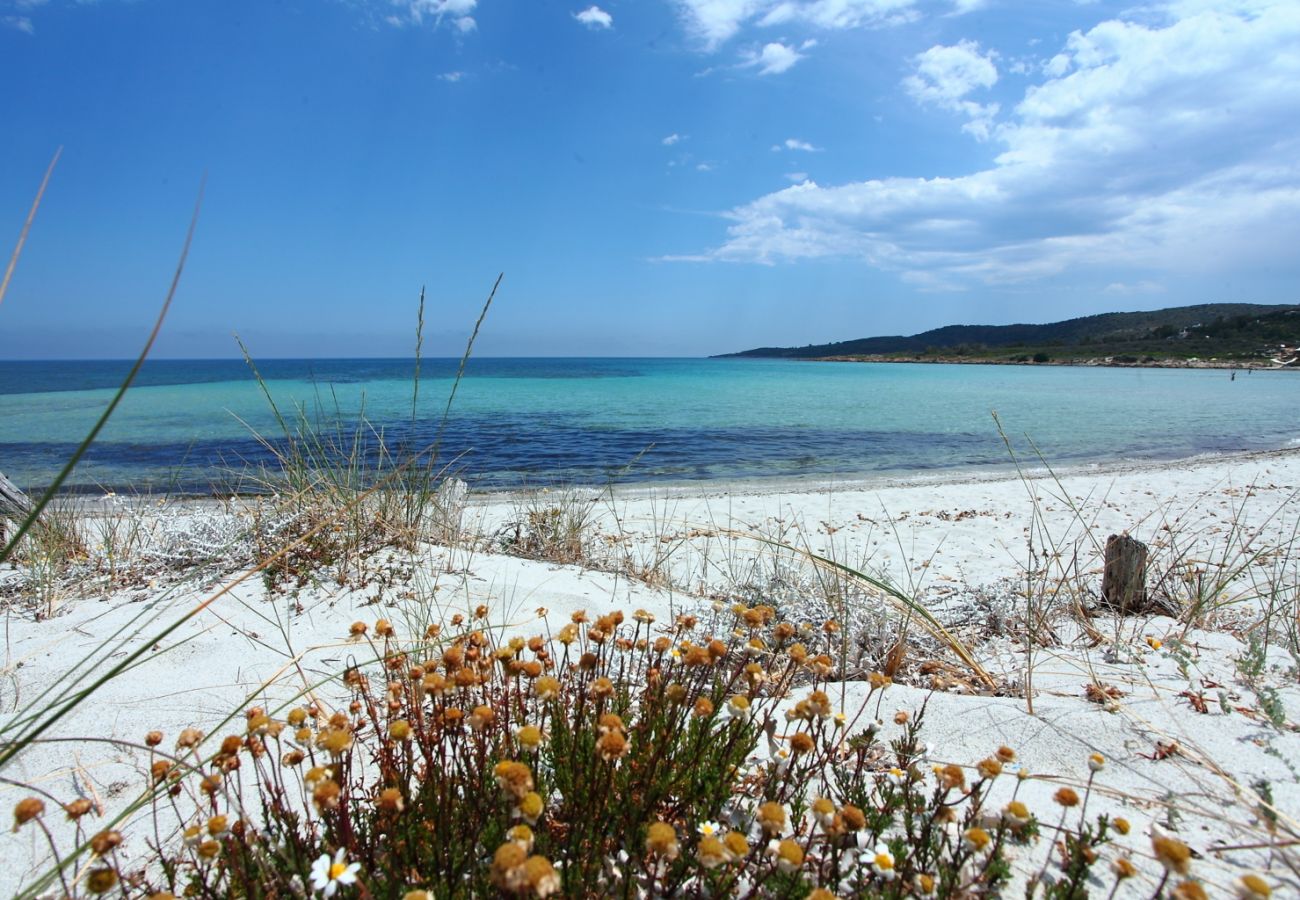 Appartamento a Olbia - Maestrale BFlat - flat vista panoramica spiaggia