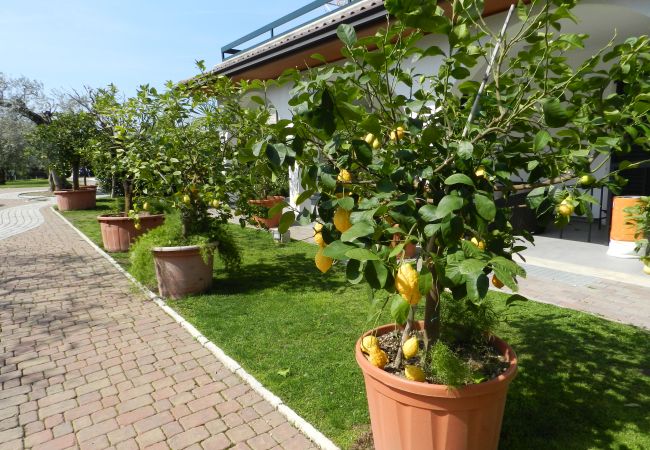 Casa a Lazise - Regarda - Villa Olivi 10 a Lazise con piscina, wifi e terrazza