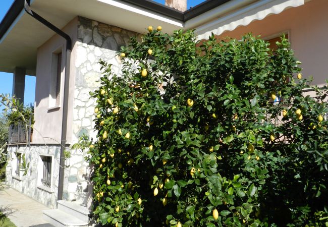 Casa a Lazise - TRILOCALE Casa a Lazise - TRILOCALE