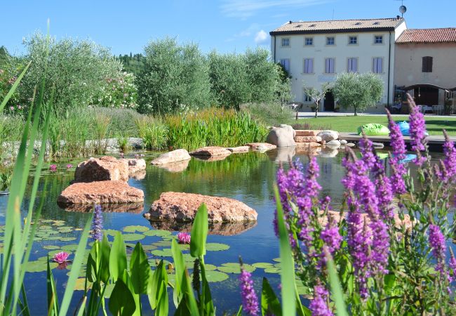 Agriturismo a Bussolengo - AGRITURISMO Agriturismo a Bussolengo - AGRITURISMO