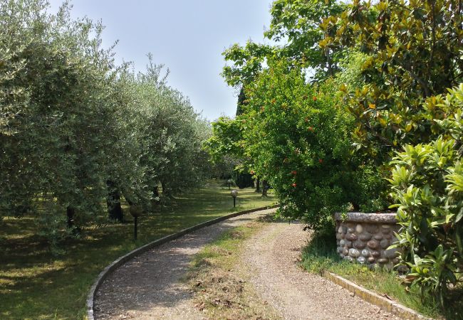 Appartamento a Bardolino - TRANQUILLA Appartamento a Bardolino - TRANQUILLA