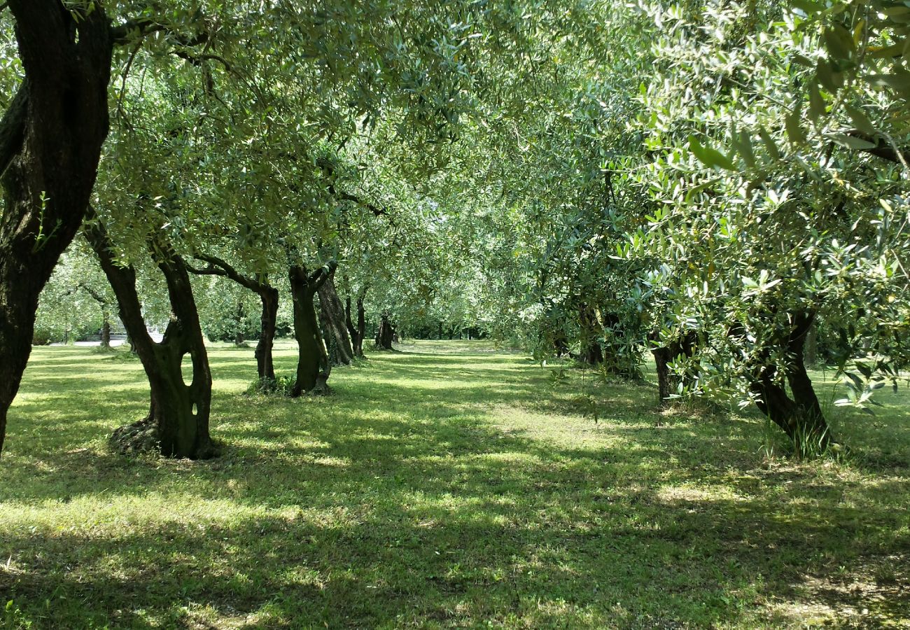 Appartamento a Bardolino - TRANQUILLA Appartamento a Bardolino - TRANQUILLA