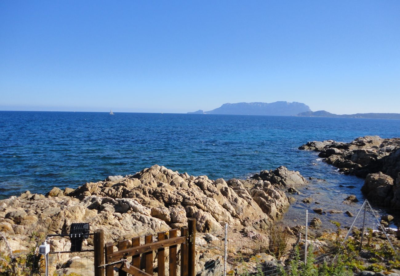 Villa Miriam - villa in affitto con accesso diretto al mare a Pittulongu, perfetta per vacanze in Sardegna