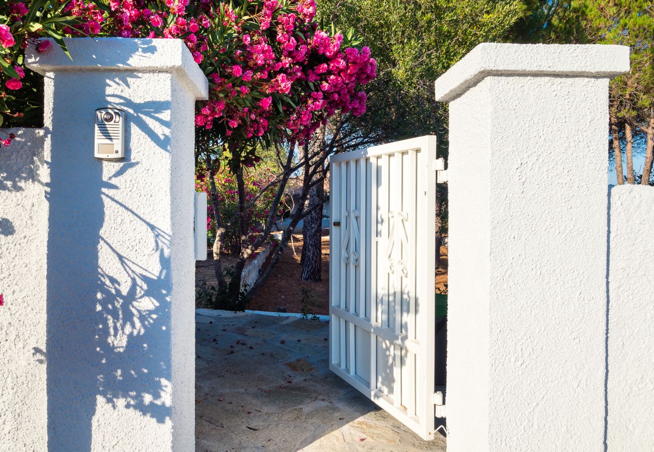 Villa Miriam - villa in affitto a Pittulongu, casa vacanze confortevole e ben attrezzata in Sardegna