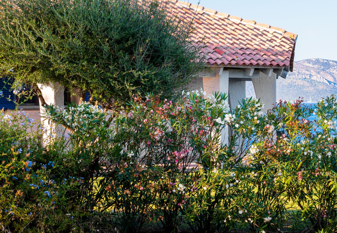 Villa Miriam - villa in affitto immersa nella natura a Pittulongu, ideale per vacanze rilassanti in Sardegna