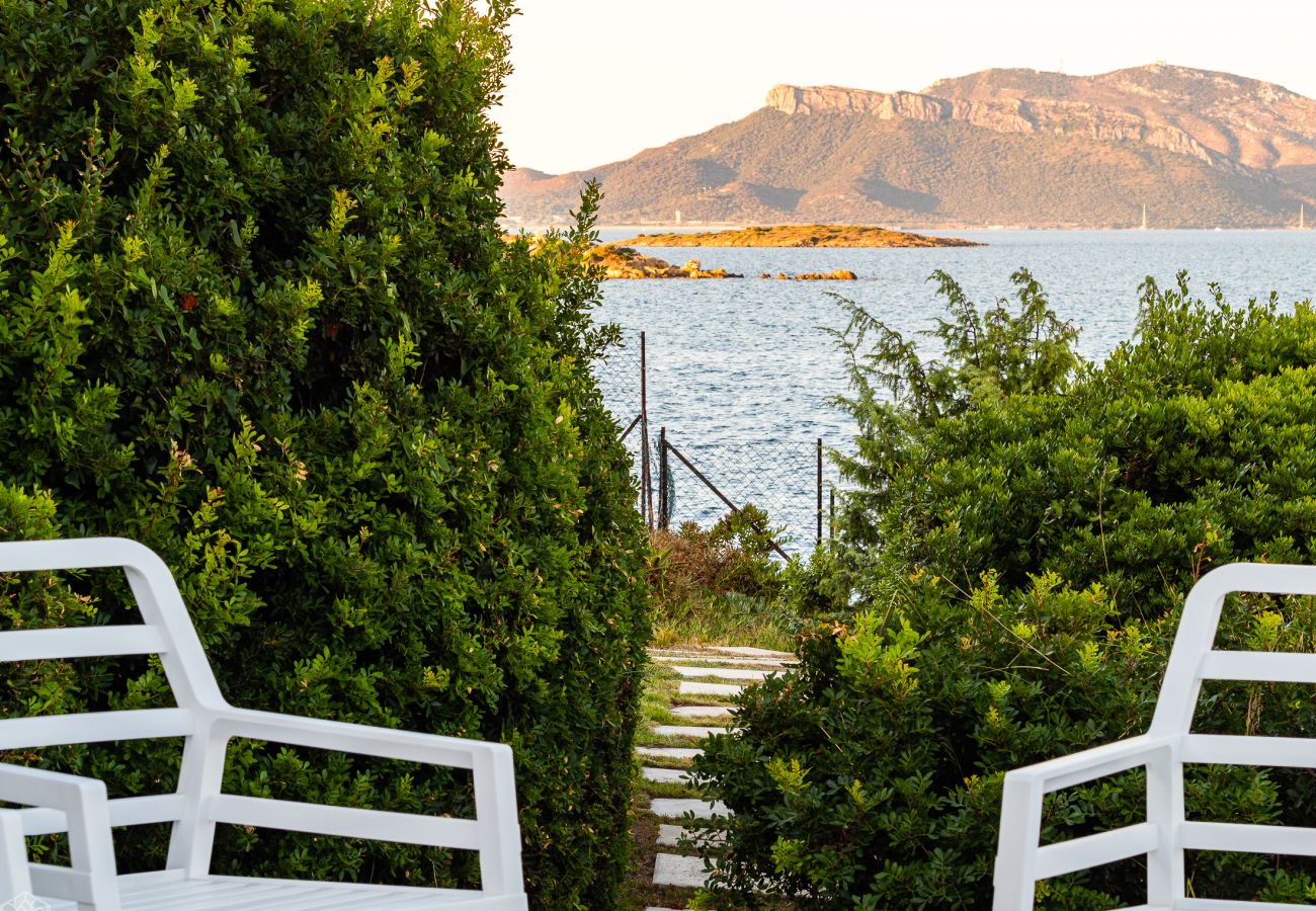 Villa Miriam - casa vacanze in Sardegna a pochi passi dal mare, ideale per soggiorni a Pittulongu