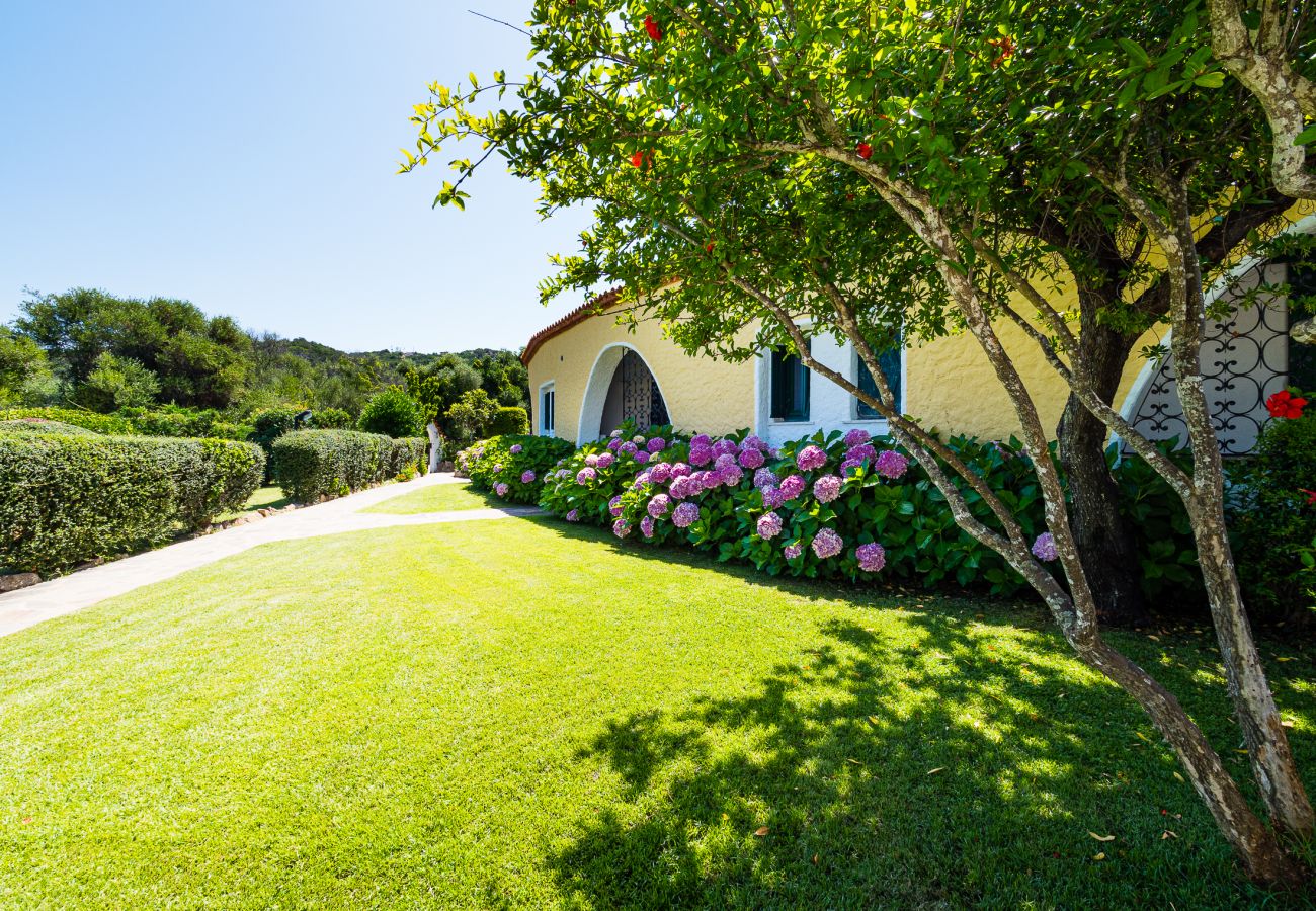 Appartamento a Baia Sardinia - Rotonda Cottage 33 - flat moderno con piscina a Baja Sardinia