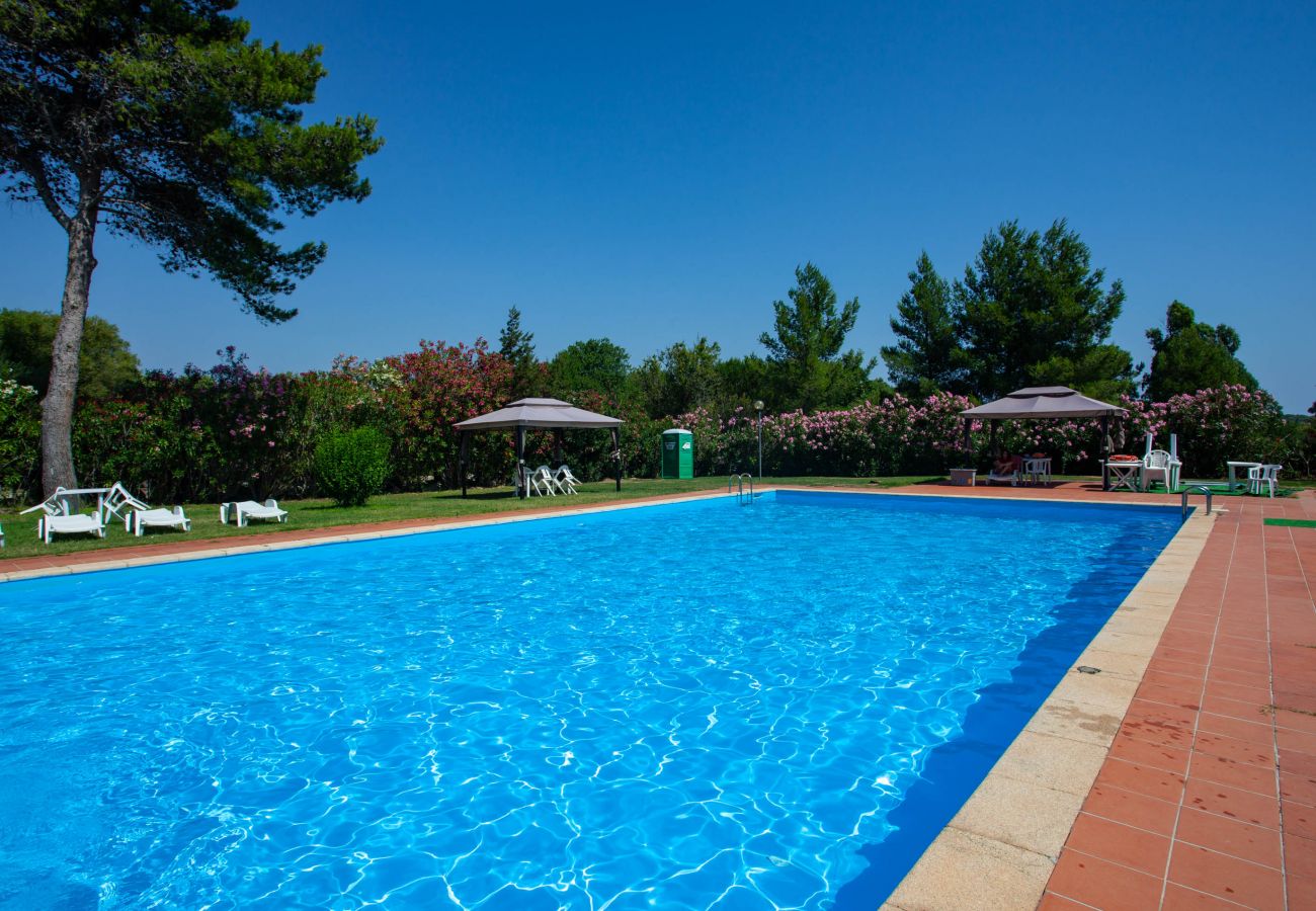 Appartamento a Porto Rotondo - Casa 93 - vista sulla baia,  piscina, campo tennis