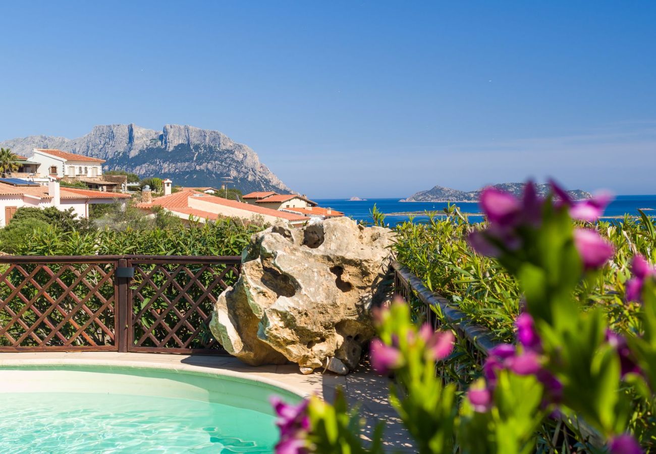 Villa a Olbia - Villa Majra - piscina esclusiva fronte Tavolara