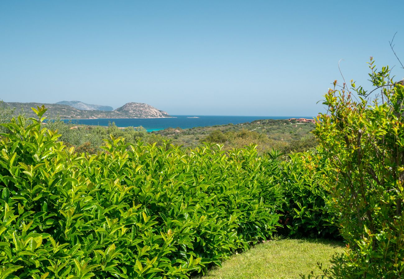 Appartamento a Porto San Paolo - Il Poggio 8 - flat con piscina condivisa e giardino