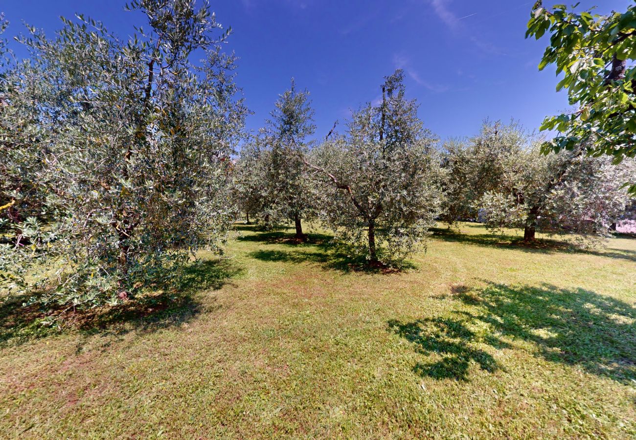 Villa a Puegnago sul Garda - VILLA FIORITA