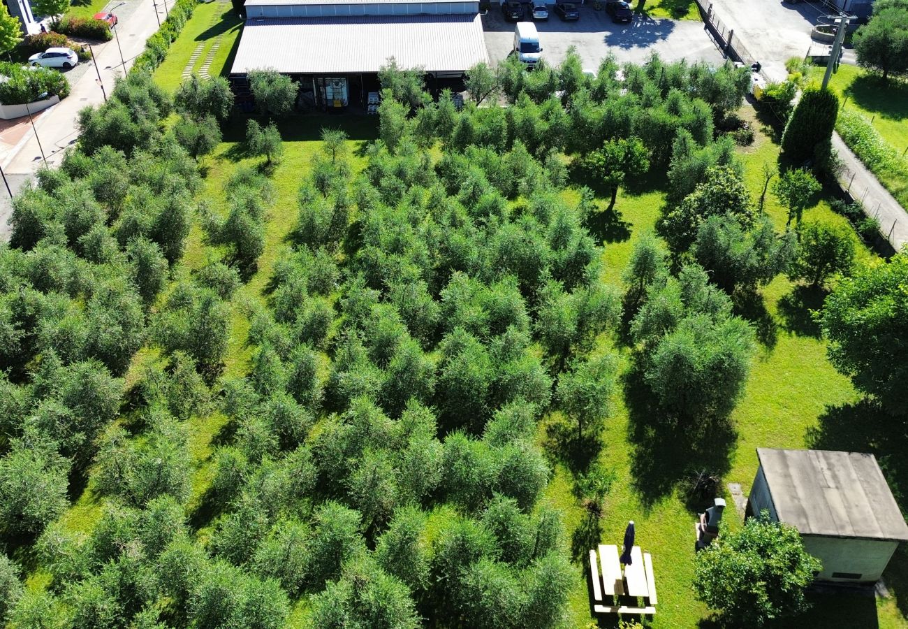 Villa a Puegnago sul Garda - VILLA FIORITA