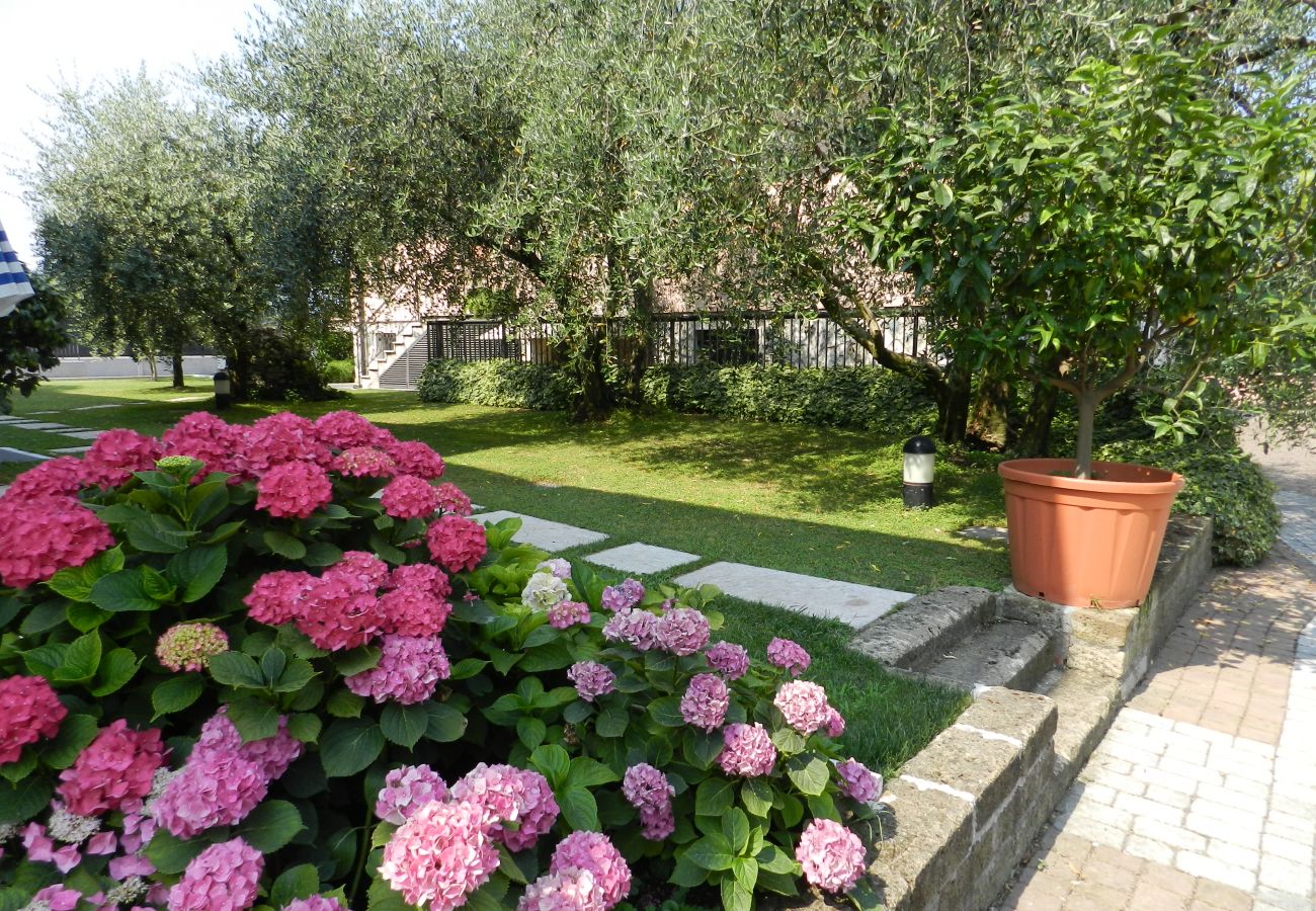 Studio in Lazise - Regarda - Studio Residence Allegra mit Pool, Wlan, Garten mit Grillplatz