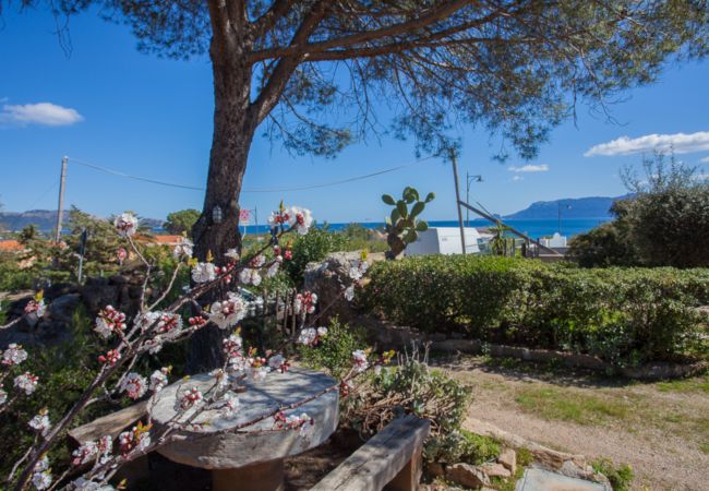 freistehendes Haus in Olbia - Villa Bados 6 - 150 Meter Strand von Bados