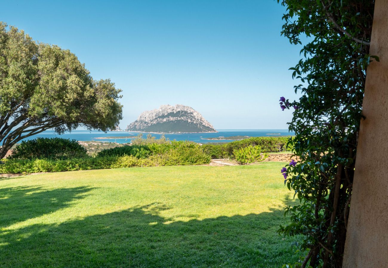 Villa in Porto San Paolo - Villa Alberto - einzigartiger Blick auf Tavolara