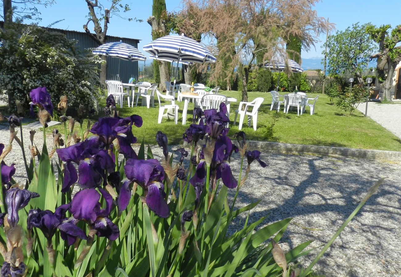 Ferienwohnung in Lazise - Regarda – Fewo Rosa Baccarat 5 mit Campingplatz und Strand Eintritt