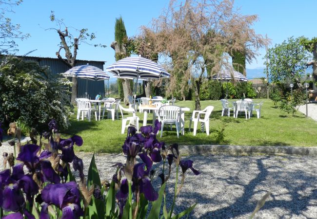 Ferienwohnung in Lazise - Regarda – FeWo Rosa Canina 8 mit Campingplatz und Strand Eintritt