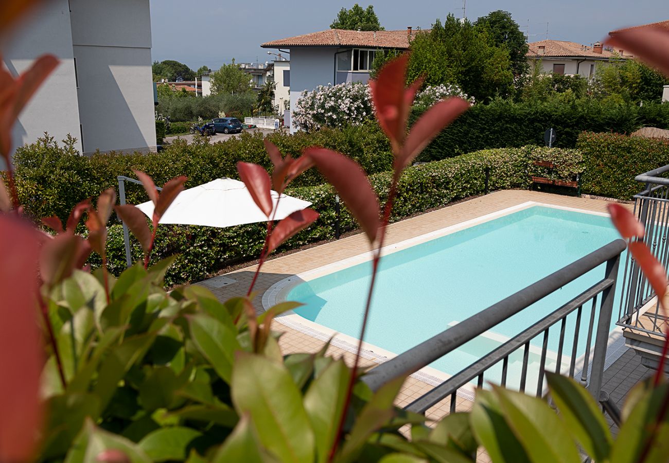 Ferienwohnung in Lazise - Regarda- Weinapartment Promenade in Zentrum mit Garten und Pool