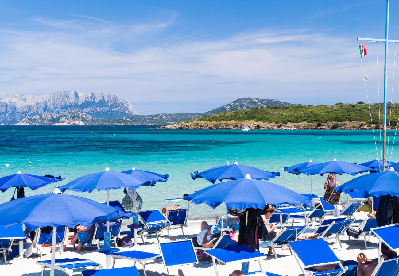 Ferienwohnung in Olbia - Belvedere Suite G - Wohnung mit Pool in Pittulongu