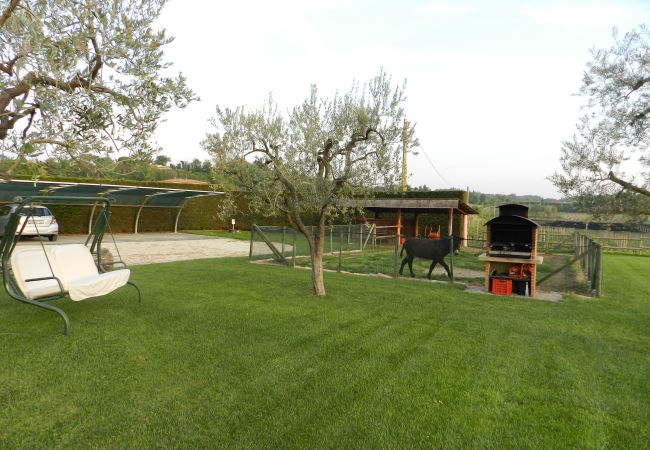 Studio in Lazise - BAUERNHOF Studio in Lazise - BAUERNHOF