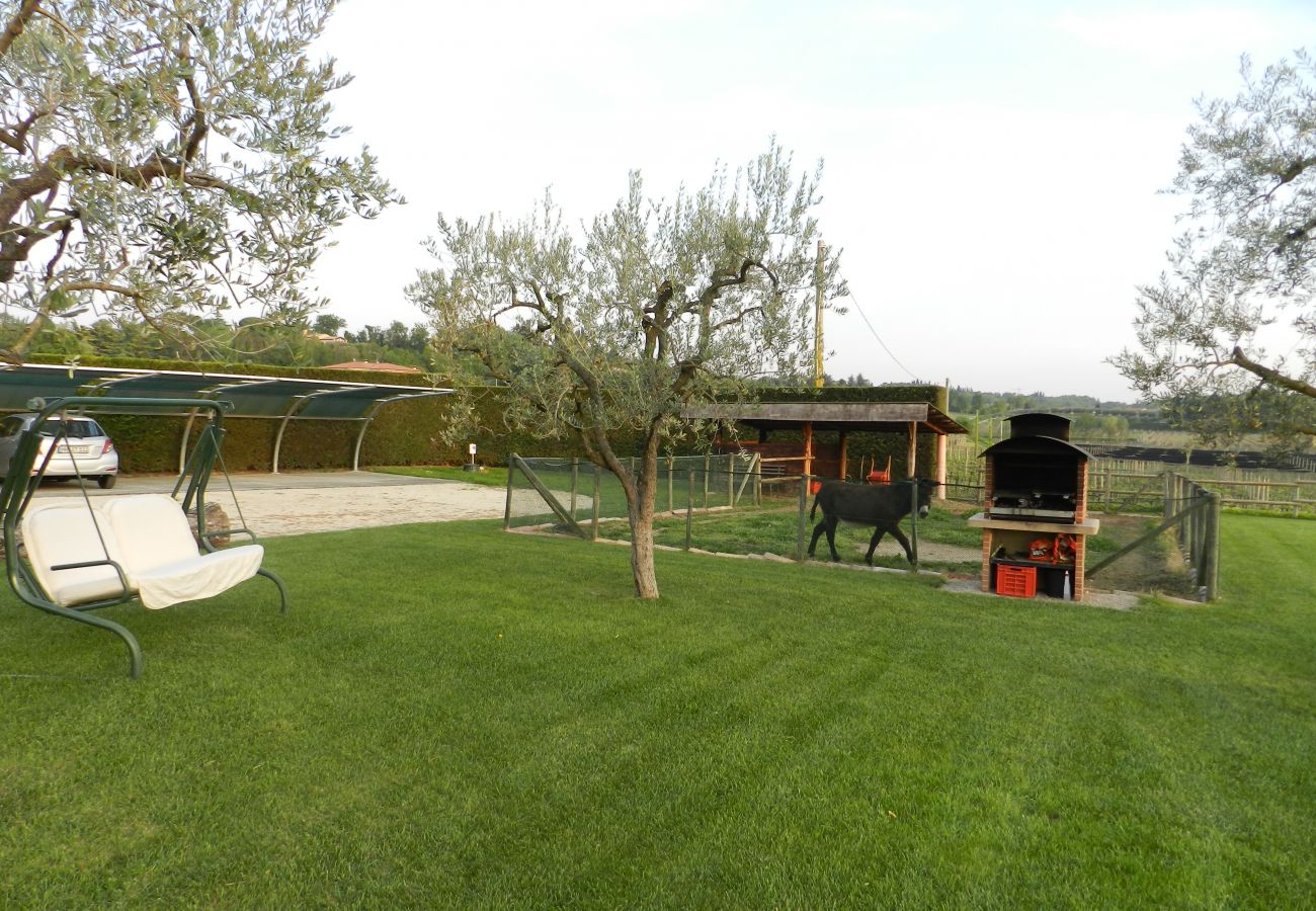 Studio in Lazise - BAUERNHOF Studio in Lazise - BAUERNHOF