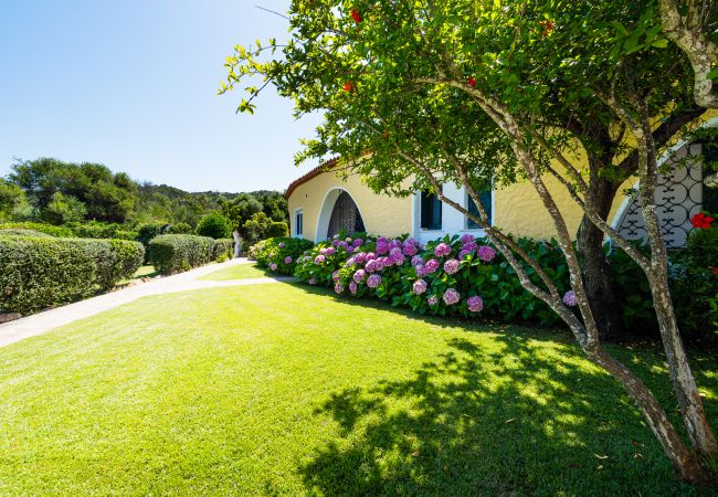  in Baia Sardinia - Rotonda Cottage 33 - moderne Wohnung mit Pool in Baja Sardinia