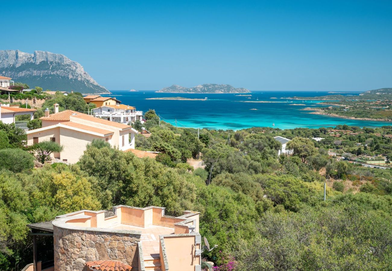 Villa in Olbia - Villa Majra - fantastischer Pool mit Blick auf Tavolara