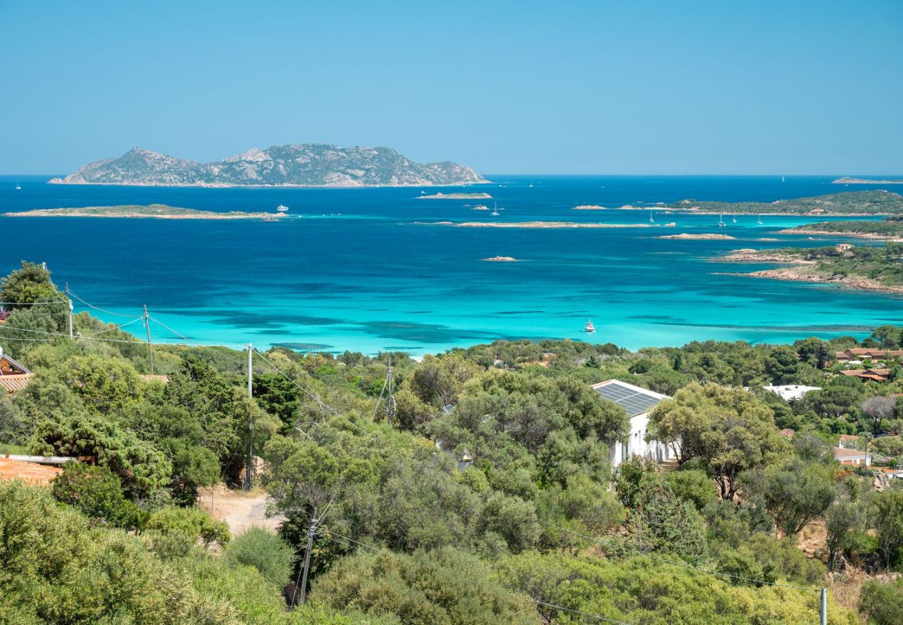 Villa in Olbia - Villa Majra - fantastischer Pool mit Blick auf Tavolara