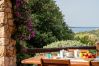 Ferienwohnung in Porto Rotondo - I Lecci 3 - Terrasse mit Meerblick und Privatsphäre in Porto Rotondo Ferienwohnung in Porto Rotondo - I Lecci 3 - Terrasse mit Meerblick und Privatsphäre in Porto Rotondo