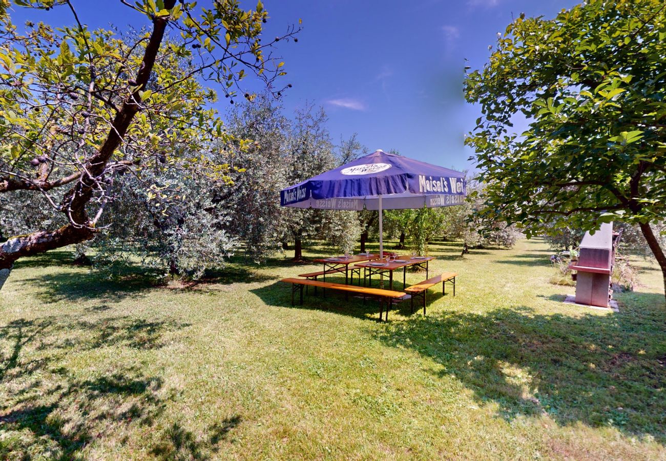 Villa in Puegnago sul Garda - VILLA FIORITA