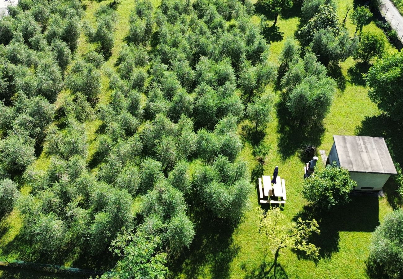 Villa in Puegnago sul Garda - VILLA FIORITA