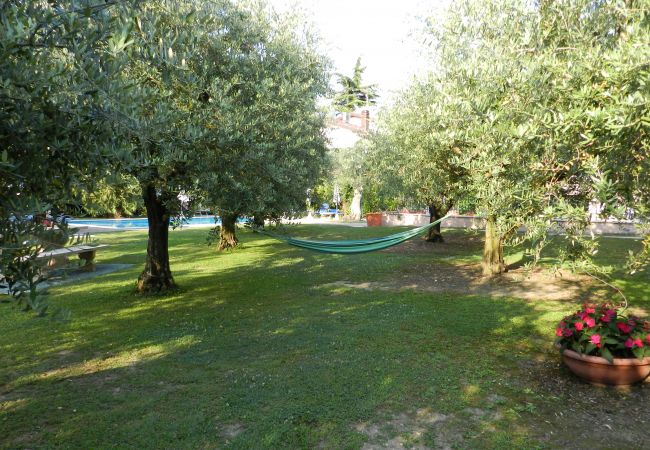 Studio in Lazise - Regarda – Studio Residence Allegra with pool, garden, air conditioning