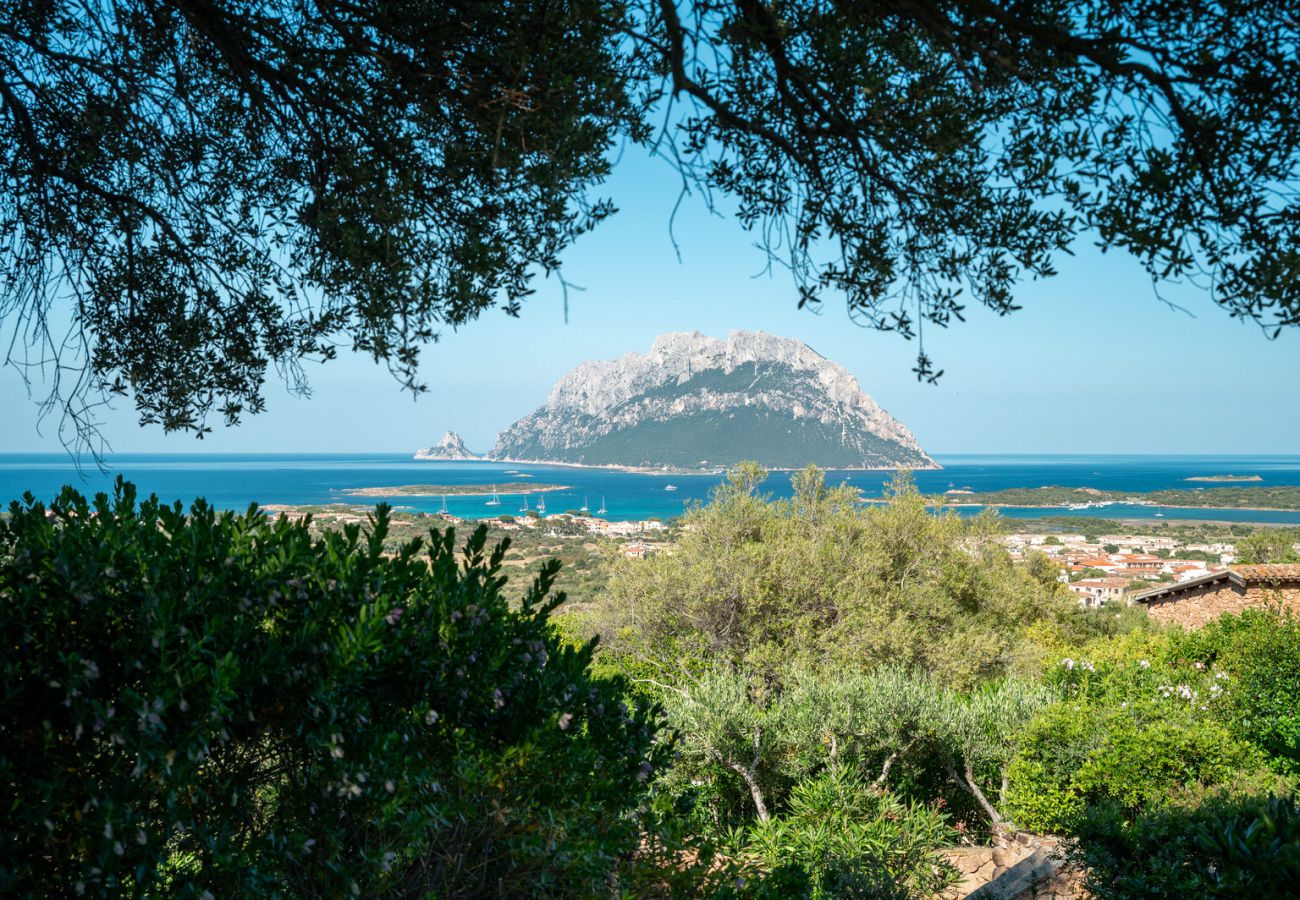Villa in Porto San Paolo - Villa Alberto - one of kind Tavolara view