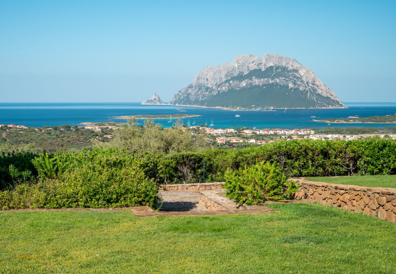 Villa in Porto San Paolo - Villa Alberto - one of kind Tavolara view