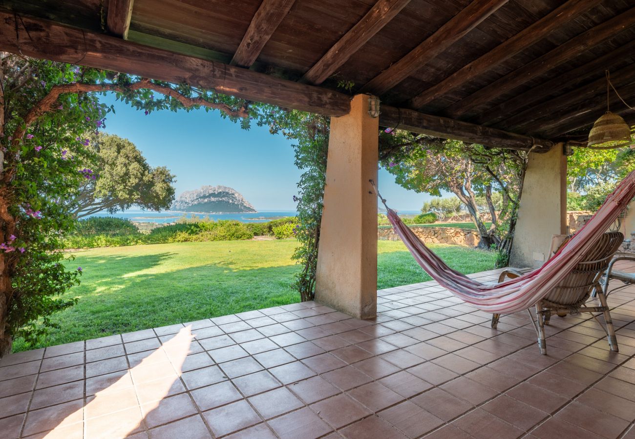 Villa in Porto San Paolo - Villa Alberto - one of kind Tavolara view