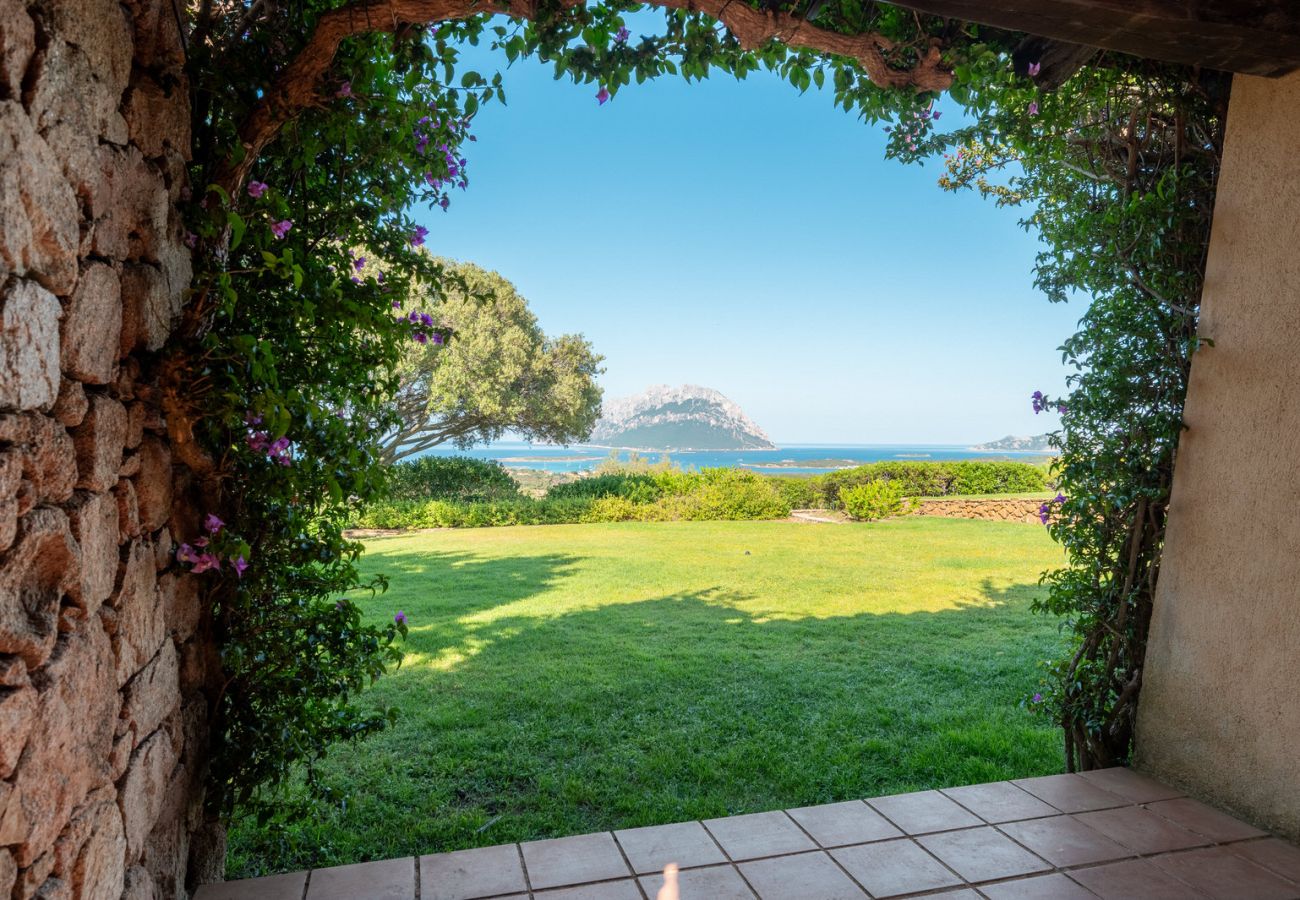 Villa in Porto San Paolo - Villa Alberto - one of kind Tavolara view