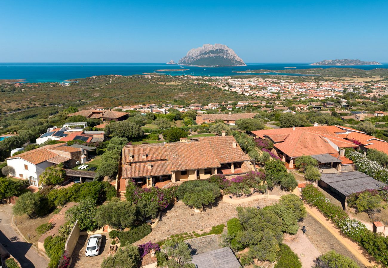 Villa in Porto San Paolo - Villa Alberto - one of kind Tavolara view