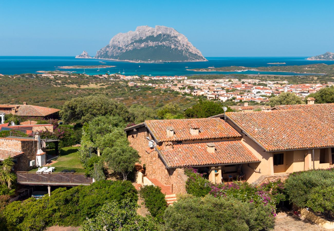 Villa in Porto San Paolo - Villa Alberto - one of kind Tavolara view