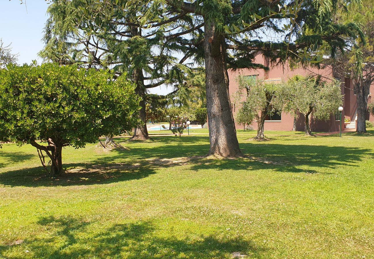 Apartment in Bardolino - Regarda -Blue View 1  apartment with lake view, 1 bedroom, pool