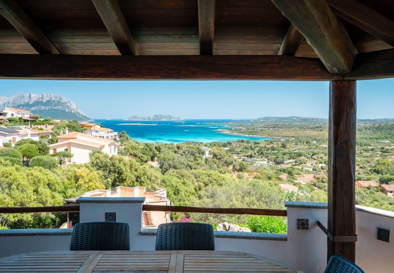 Villa in Olbia - Villa Majra - amazing pool overlooking Tavolara