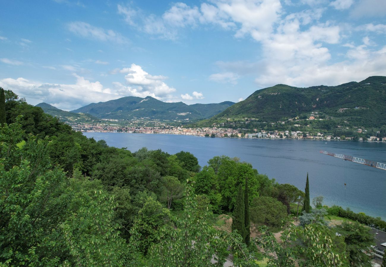 Villa in San Felice del Benaco - Villa Elvira 