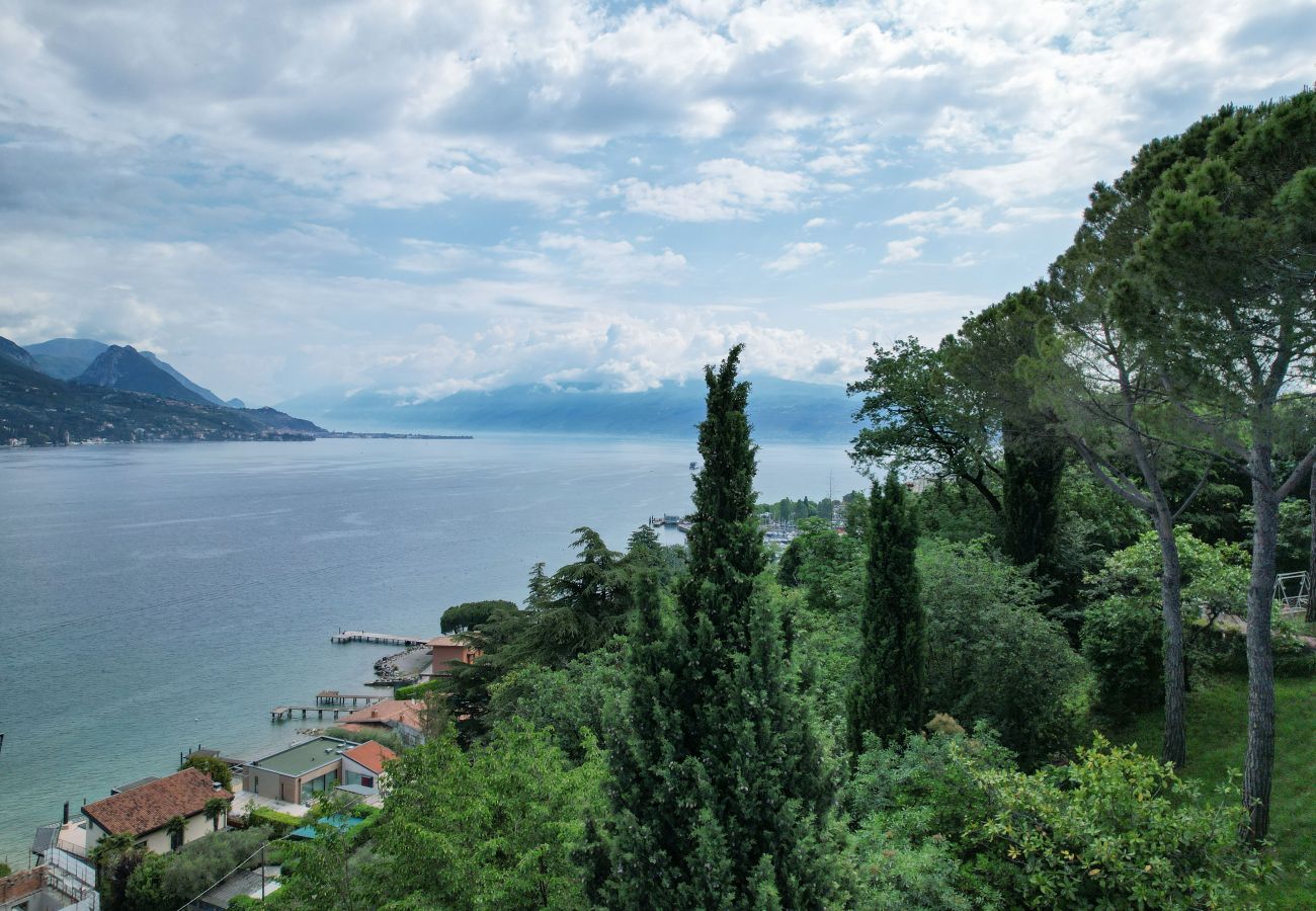 Villa in San Felice del Benaco - Villa Elvira 