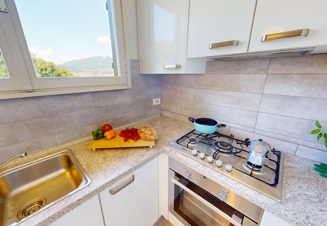 Villa in San Felice del Benaco - Villa Elvira 