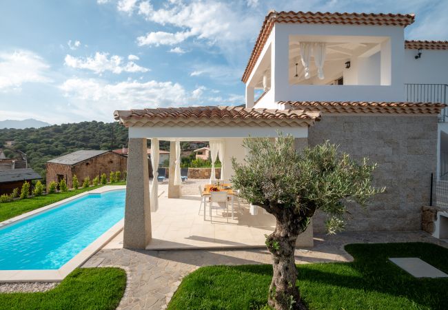 Villa/Dettached house in Budoni - Bellevue 36C by Klodge - stylish getaway villa with pool