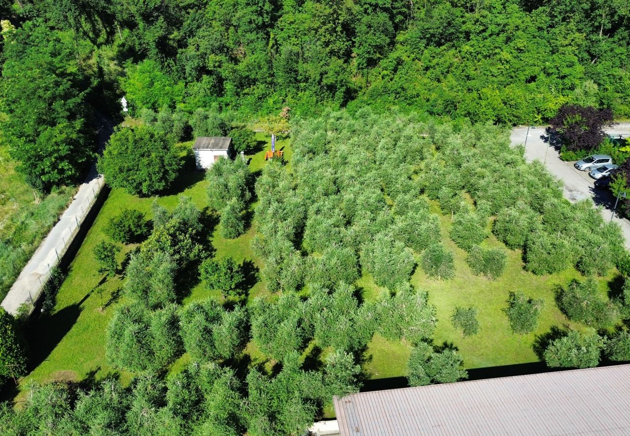 Villa in Puegnago sul Garda - VILLA FIORITA